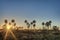 Sunrise on El Palmar National Park, Argentina