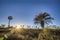 Sunrise on El Palmar National Park, Argentina