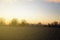 Sunrise in field with a cloudy sky