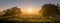 Sunrise on a field covered with flowering lupines in summer morning with fog. Panorama