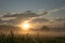 Sunrise in a field with lots of vegetation, trees and electricity poles. fog at ground level. It seems to be a crepuscular area