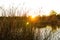 Sunrise flaring and glowing on wetland ponds near golden sunrise