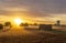 Sunrise with fog in a field with carob trees