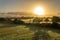 Sunrise with fog in a field with carob trees