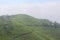 Sunrise and foggy mountain view of tea plantation at Kemuning, indonesia.