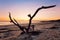 Sunrise at Folly Beach