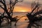 Sunrise Folly Beach South Carolina