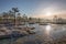 Sunrise in the frosty bog