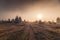 Sunrise on golden foggy field in autumn wilderness