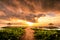 Sunrise with green plants in the foreground and a Balinese pavilion?  Sanur, Bali