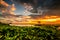 Sunrise with green plants in the foreground and a Balinese pavilion?  Sanur, Bali