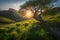 Sunrise in the highlands. Old tree, spring grass in the foreground. Landscape with the sun. Morning in the mountains