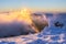 Sunrise on the hill Kosarisko in Low Tatras mountains