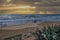 Sunrise on the Horizon as Surfers walk on the Beach