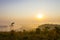 Sunrise idyllic with flower grass and mist morning