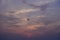 Sunrise on the island beach brings the seagulls to the air looking for a meal