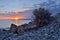 Sunrise at Issyk-Kul `warm lake` shore,landscape with beautiful stones and bush,northern Tian Shan