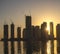 Sunrise in Jadaf area of Dubai, view of Dubai creek Harbor construction of which is partially completed