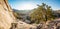 Sunrise in Joshua Tree National Park