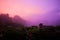 Sunrise in the Jungle Mist in Bright Pink and Purple