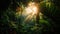 Sunrise in jungle rainforest view through tropical palm tree plants and lush fern foliage. Beautiful sunny morning in magic forest