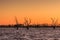 Sunrise at Lake Bonney, Barmera South Australia with silhouettes of drowned trees