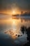 Sunrise on the lake in the misty morning. Nature composition.