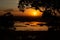 Sunrise lake views through the treetops