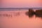 Sunrise at lake Zuvintas with flock of geese in the background, Lithuania, wildlife reserve, nature landscape