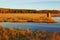 Sunrise landscape of lake in grassland