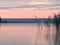 Sunrise landscape on Masuria. Reeds relfections. Seksty lake