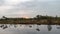 Sunrise landscape with peat bogs and swamp vegetation. The bog pond reflects small pines, bushes and cloudy skies