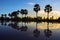 Sunrise landscape with sugar palm trees on the paddy field in morning. Mekong Delta, Chau Doc, An Giang, Vietnam