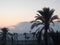 Sunrise at larnaka salt lake with palm trees