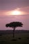 Sunrise, Maasai Mara Game Reserve, Kenya