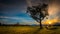 Sunrise in the meadow at Heaven Hill Trails, Lake Placid, New York, the Adirondacks