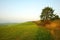 Sunrise on meadows with a tree