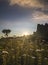 Sunrise in Mexican landscape