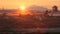 Sunrise Mist, Richmond Cranberry Field