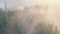 Sunrise in the misty forest. Marvelous view of flying over pine forest in the morning. There is magical fog all the way