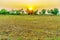 Sunrise in the moring on the field of farmer