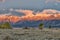 Sunrise at Mormon Row in Grand Teton