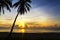 Sunrise morning and coconut idyllic on beach