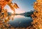 Sunrise on mountain range and golden leaves covered in Rundle Forebay Reservoir