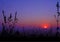 Sunrise - Mountains And Grass Silhouettes