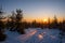 Sunrise in the mountains with trees and tracks from skis in the snow