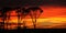 Sunrise outback