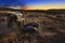 Sunrise over abandoned truck, Nevada desert