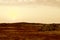 A sunrise over the alien landscape in the Danakil depression