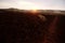 A sunrise over the alien landscape in the Danakil depression